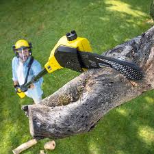 Best Tree Removal  in Sylacauga, AL