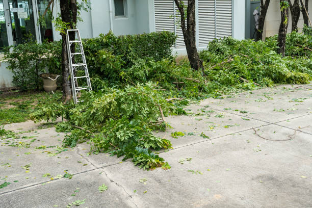 Best Tree Risk Assessment  in Sylacauga, AL