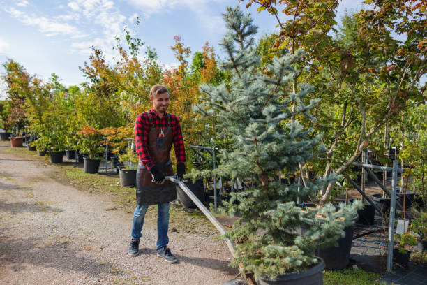 Best Tree Trimming and Pruning  in Sylacauga, AL